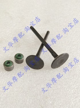 适用於建设YAMAHAJS110-B-3H-9E-9C JY110 JYM110-A E8 F8气门