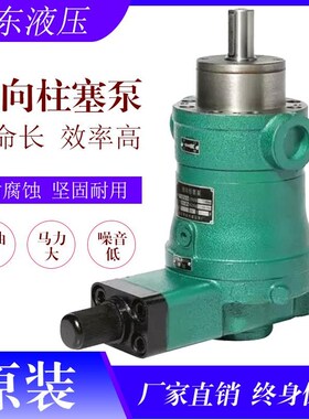 启东油泵10 25 40 63 80 160YCY 250YCY14-1B轴向柱塞泵液压
