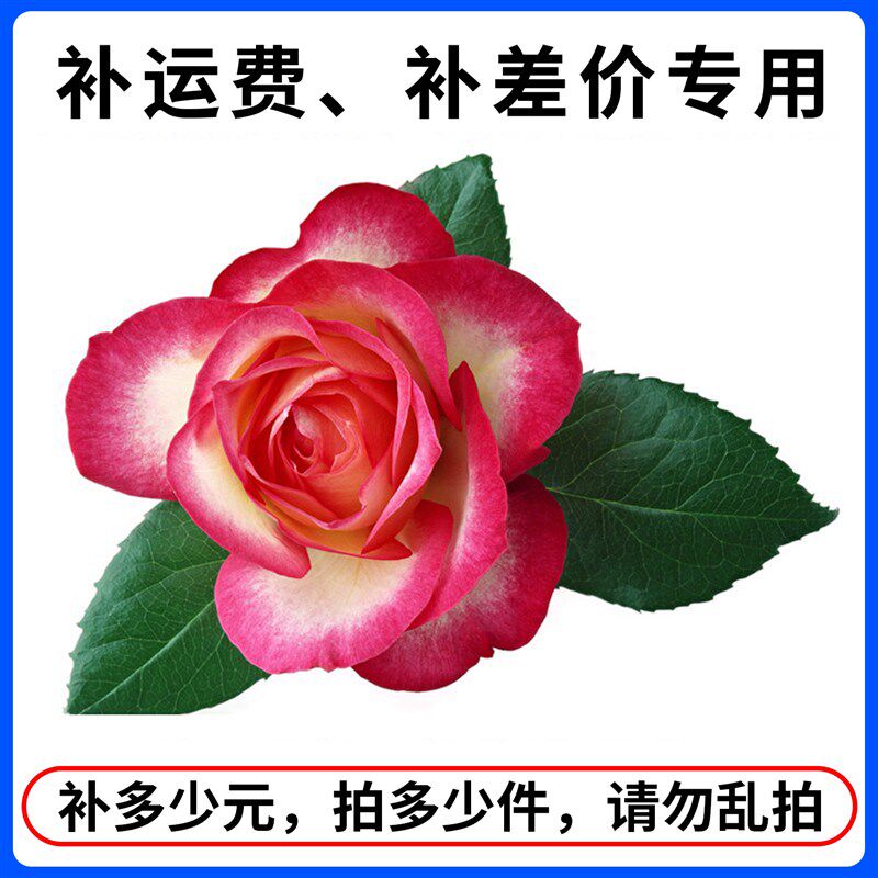 补运费补差价专用链接(非卖品)补多少元拍多少件 邮费玫瑰花