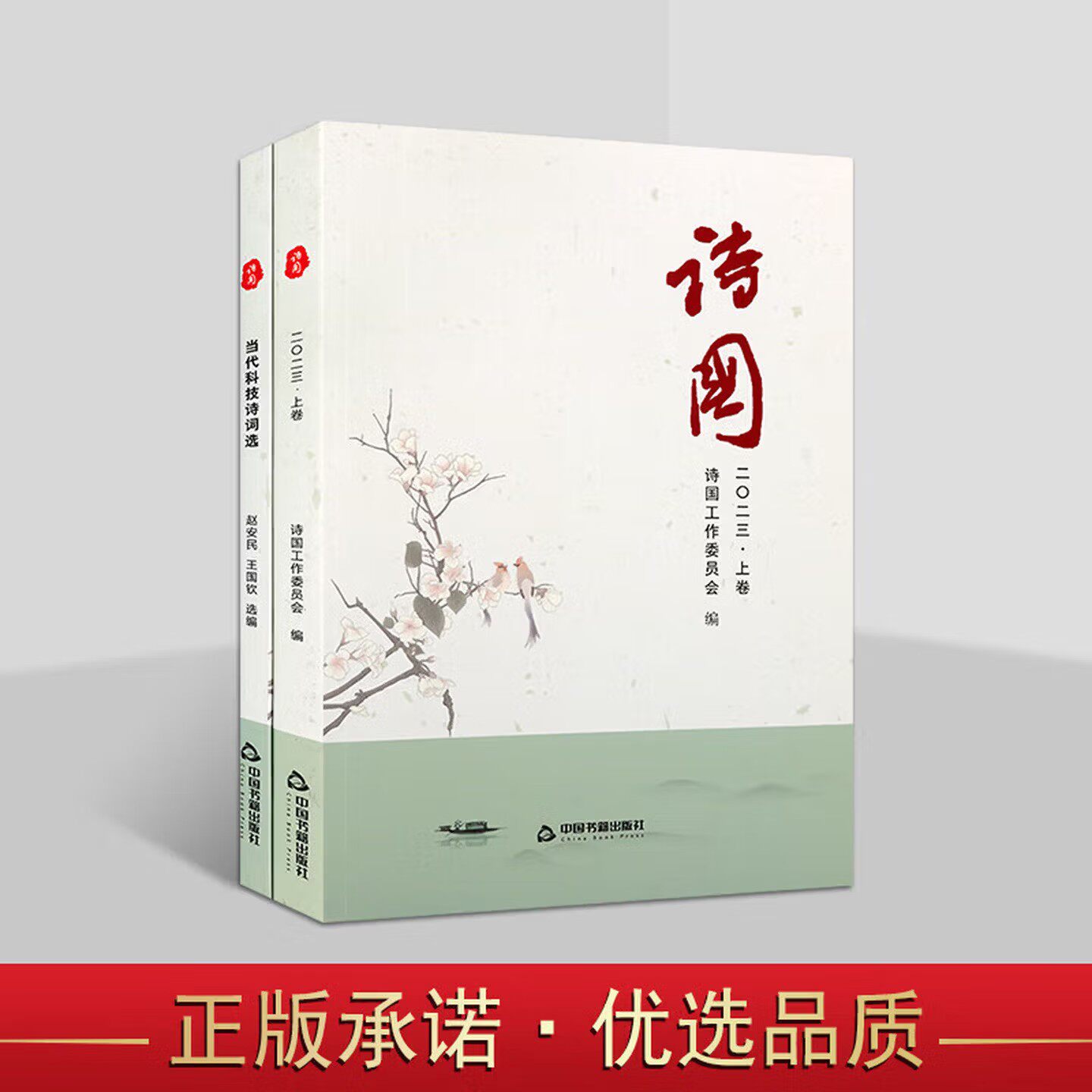 诗国 上卷  当代科技诗词选 下卷 当代诗歌作品及诗论文章选集 古近体诗诗论文章 历史红诗 中国书籍出版社