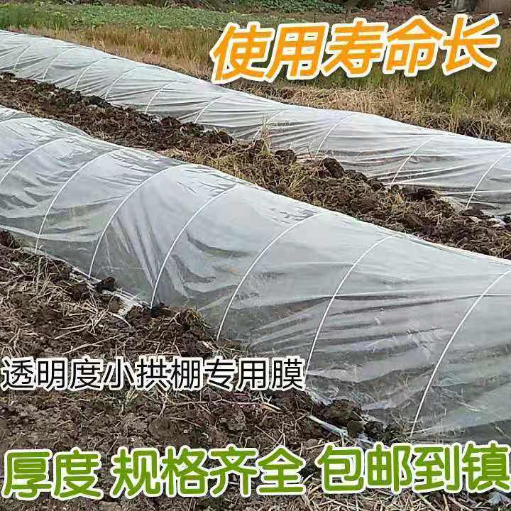 小拱棚育秧苗膜地膜农用白膜西瓜膜加厚种植N保温薄膜塑料布大棚