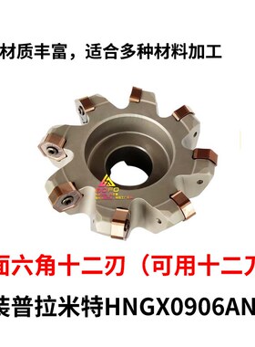 45度快进给铣刀盘双面12刃角普拉米特HNGX/HNMG0906/7ANSN 大切深