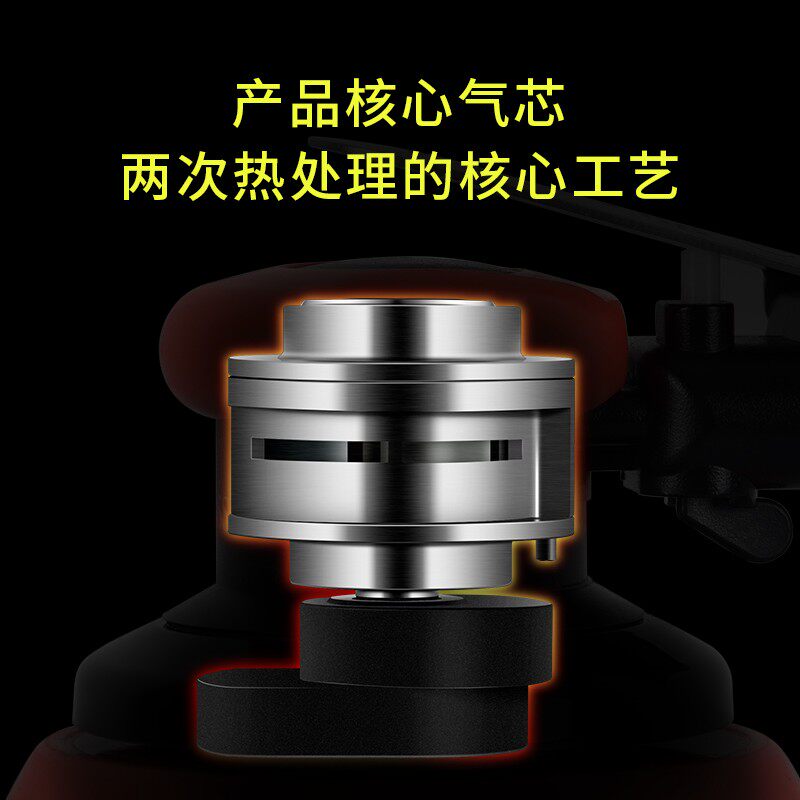德国贝禧气动5寸吸尘打磨机工业级6孔砂纸机漆面原子灰干磨机工具