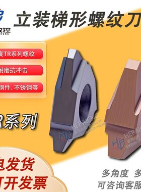 立装TR螺纹梯形30度刀片22VER VNR 3.0TR 4.0TR 5.0TR内外T型牙刀