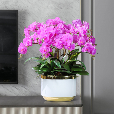 花与梦蝴蝶兰仿真花手感pu大盆兰花盆栽客厅摆件设花卉绿植物假花