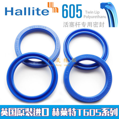 Hallite赫莱特 H605 进口 28 30*35.5 36 38 40 42 45 50*5.7 6.3
