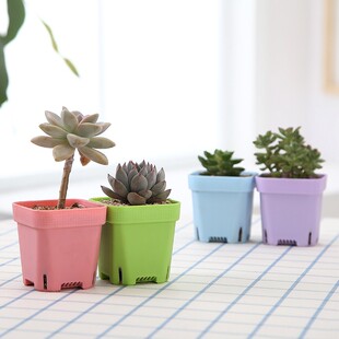 加厚小白方多肉花盆肉肉植物塑料方形叶插盆育苗盆大黑方盆十方盆