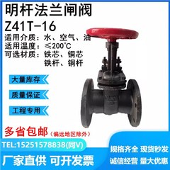 Z41T明杆法兰闸阀铸铁铜芯铜杆闸阀HT200DN40 50 65 80 100