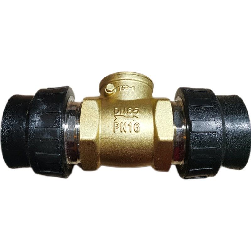 PE止回阀单向阀重型卧式63 75 90 110 4寸回流防倒灌