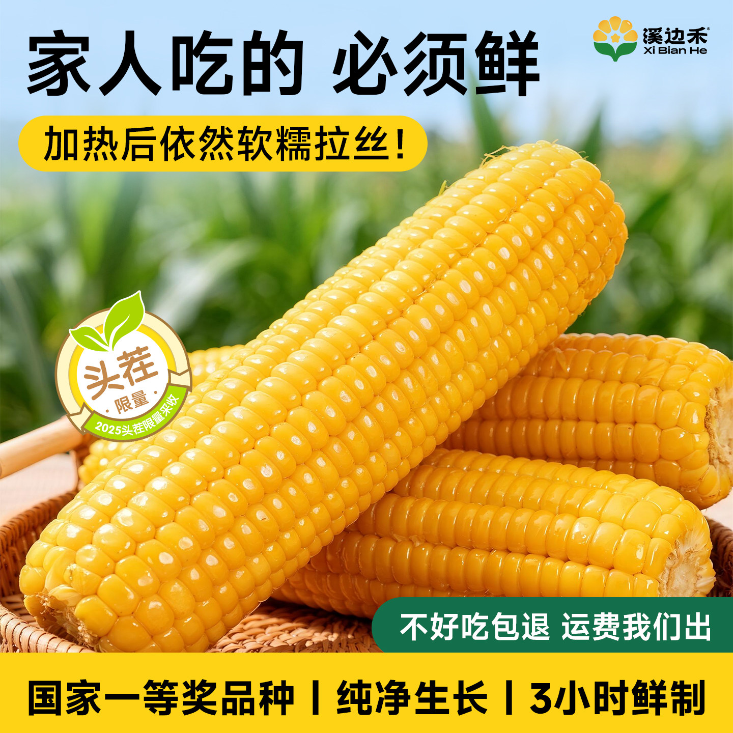 【延安皇金糯】新鲜黄糯玉米鲜嫩如现摘带皮加热即食黄金粗粮棒子,粮油调味/速食/干货/烘焙,玉米,淘宝优惠券,粉丝福利购,淘宝优惠卷