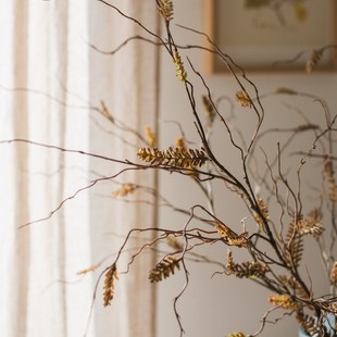 翎羽草枝仿真植物干燥树枝干燥花艺术质感花艺设计空间装饰插花