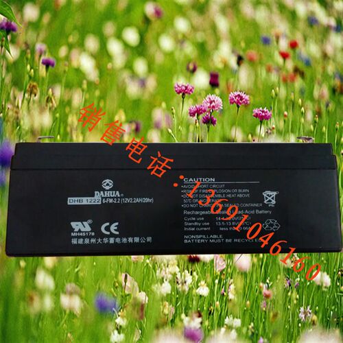 DAHUA蓄电池DHB1222 大华12v2.2ah 铅酸蓄电池 照明灯电梯电池