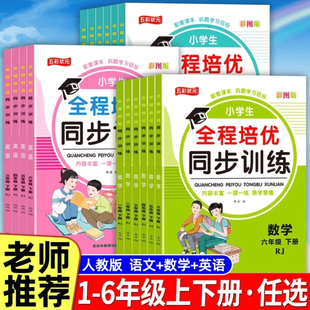 2024小学生全程培优同步训练1-6 年级上下册语文数学英语专项练习人教版状元阅读课时辅导资料123456年级作业本一课一练练习册
