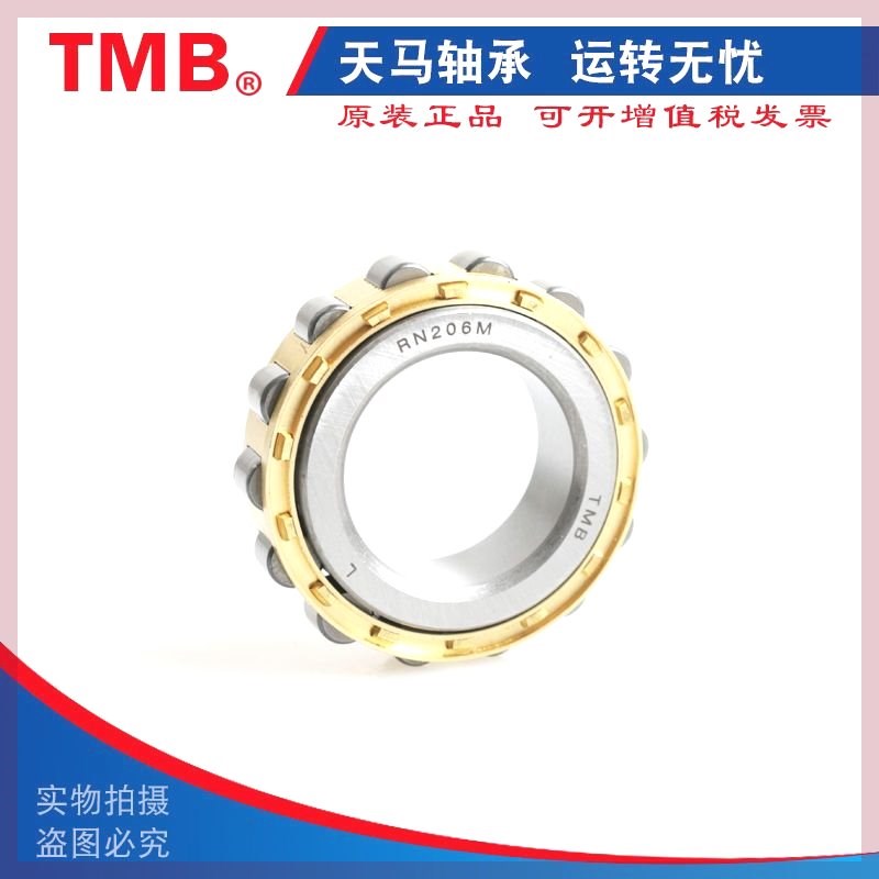 德国进口减速机偏心轴承RN205 206 307 308 309 312 222 219 M 原