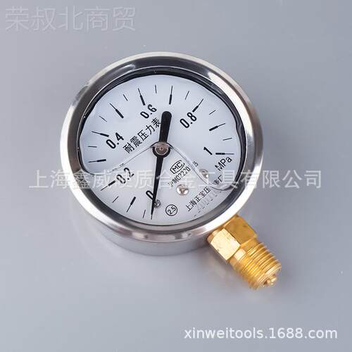 上表正宝YN油-60径向压力2.5级耐震压表 水压表气压力YN-60表海