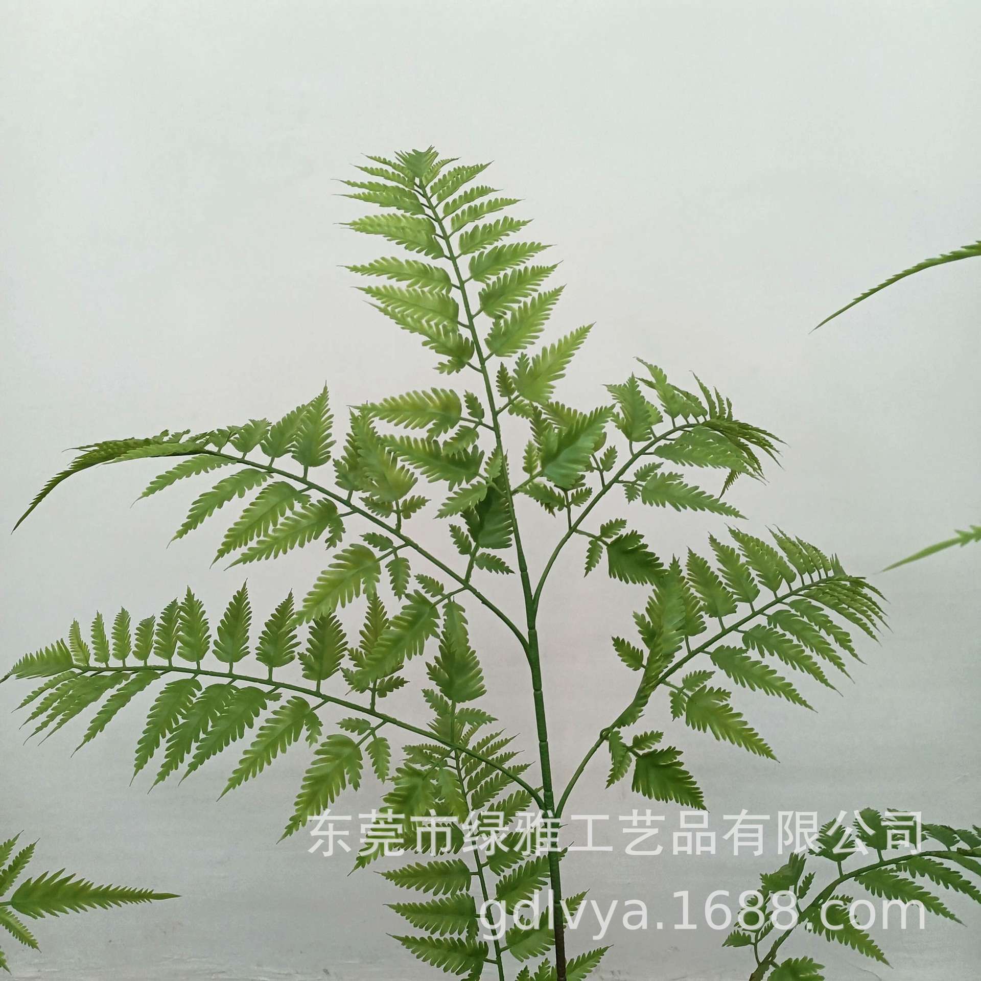 仿真金丝猴头蕨长毛蕨绿植盆栽茶室庭院新中式禅意造景假植物装饰