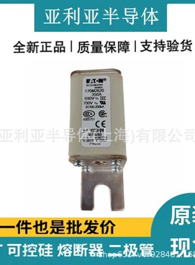 现货170M2620 170M2621 高压直流熔断器 电流保护装置 电子元器件