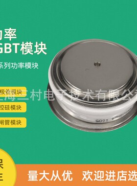 平板二极管模块D3001N68T D3001N65T 3001N60T 3001N58T 3041N68T