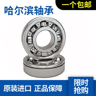 哈尔滨轴承6216N 6217N 6218N 6219N 6220N 6221N 6222N 6224N