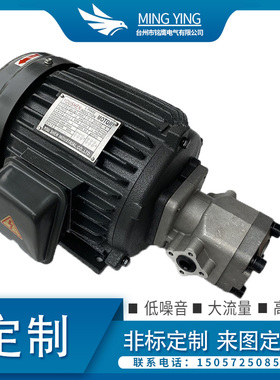 液压油泵电机组HGP-1A+1.5KW2.2KW总成内轴电机液压站配件系统