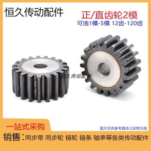 两平面 齿 直齿轮2模 2M31 40T 正齿