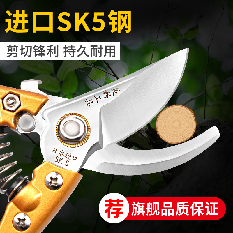 修枝剪园艺剪刀果树剪家用省力修树枝剪子修花工具日本进口园林剪