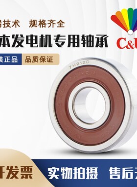 人本汽车发电机专用轴承尼龙 SA6202RSL SA6203 SA6302 SA6303SRL