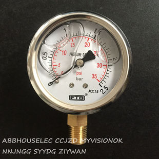 4PT直立式 FTB不锈钢耐震压力表0 2.5BAR防震油压表60mm接头螺纹1