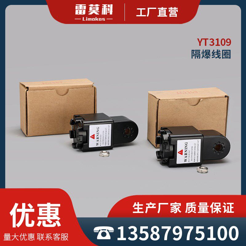 隔爆电磁阀线圈 YT310 CT4 防爆电磁阀DC24V 3.6W AC220V 5W