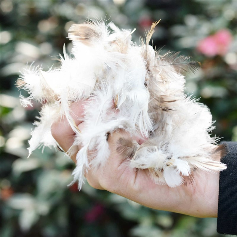 灰鸭毛靠垫芯饱满型沙发床头抱枕芯羽绒芯抱枕枕芯定制