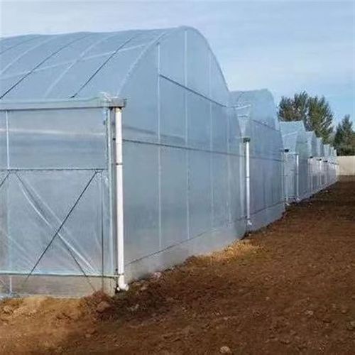 连栋薄膜温室大棚 外遮阳内保温农业大棚现货园林花卉草莓连栋大