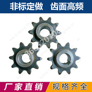 双驱假双排链轮定做定制图纸加工非标工业三排4分5分10a08B12A6分