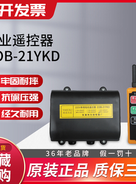 COB-21YKD 单相电机遥控器220V工业无线远程遥控器行车开关起重机