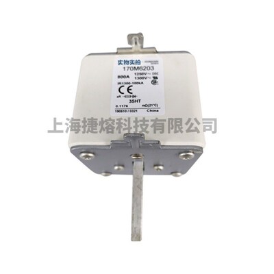 全新原装现货170M6168 170M6170 170M6203低压熔断器 标准封装