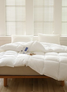 3EW1酒店民宿超柔软被芯蓬松被子纯白春秋被夏凉被冬被四季空调薄
