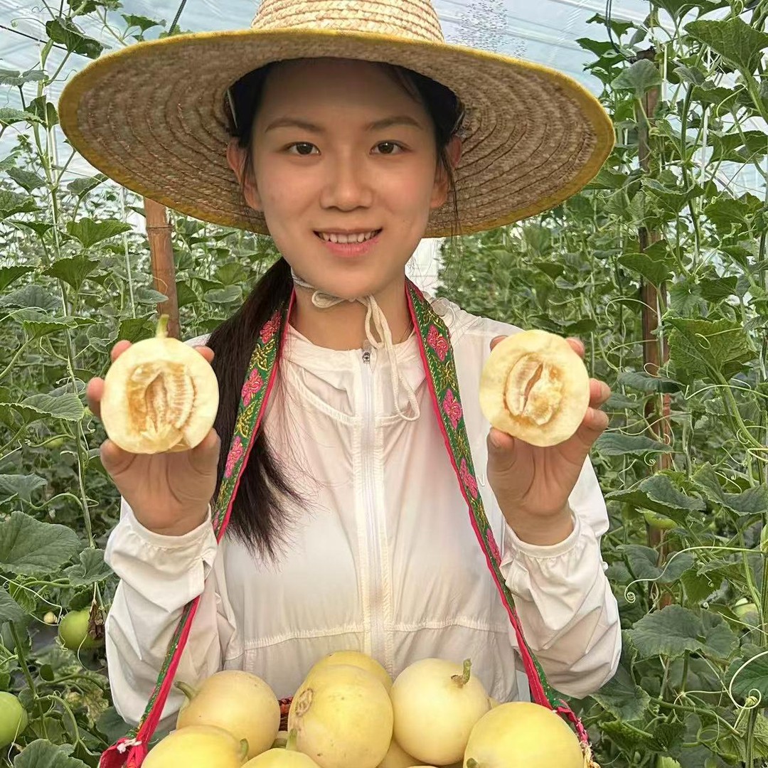 【顺丰快递】山东小蜜蜂甜瓜早甜脆甜瓜小蜜罐新鲜水果