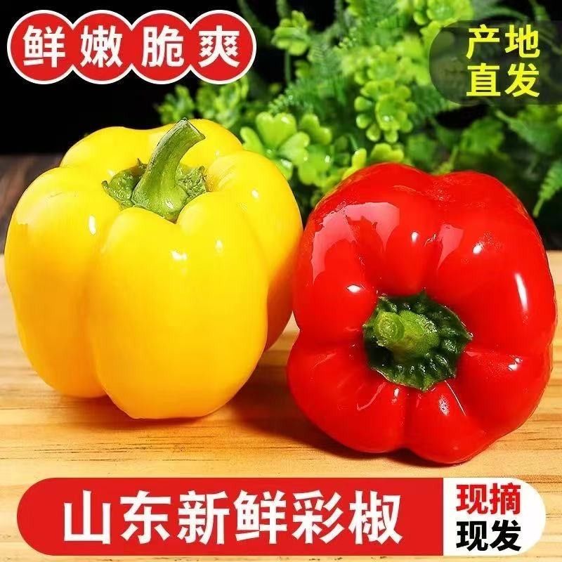 新鲜彩椒五彩灯笼甜椒七彩水果辣椒寿光蔬菜太空青椒新鲜蔬菜