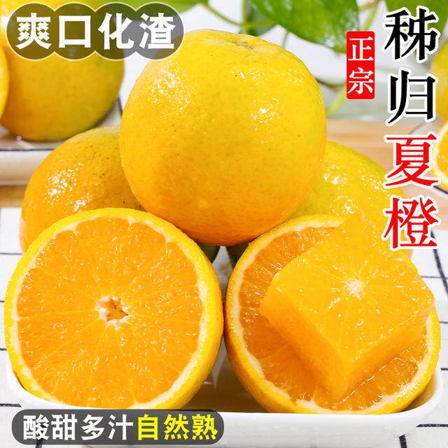 【爽口多汁】正宗秭归夏橙5/9斤酸甜多汁皮薄橙子水果包邮