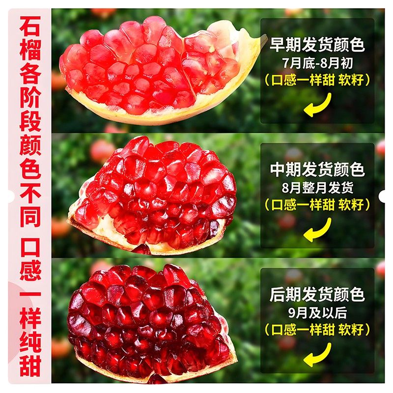果七叔【主播专属】正宗突尼斯软籽石榴新鲜当季水果四川会理石榴