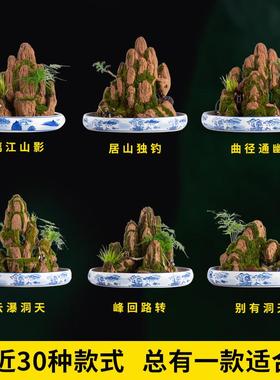 吸水石盆景摆件山石水景造景流水摆件客厅造景微景观选石配石假山