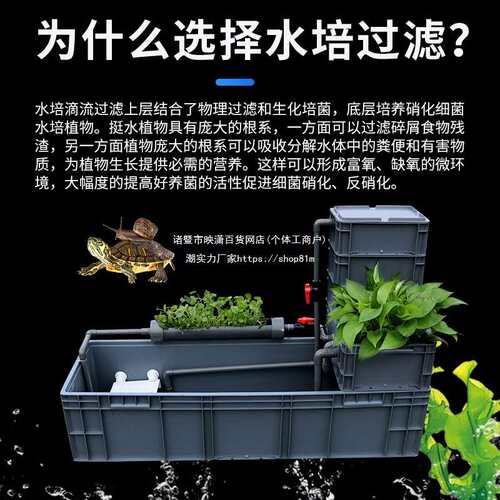 ll养龟箱沼泽缸生态缸大型过滤器家用鱼缸乌龟缸混合养周转箱免换