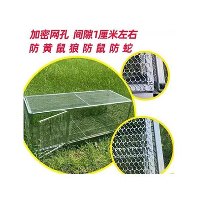 芦丁鸡笼小鸡笼雏鸡家用笼子加密鸭笼加密宠物笼鹌鹑笼