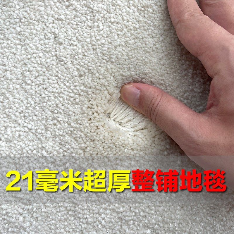 特厚柔软长毛满铺地毯卧室客厅全铺办公J室酒店商用整铺大面积地