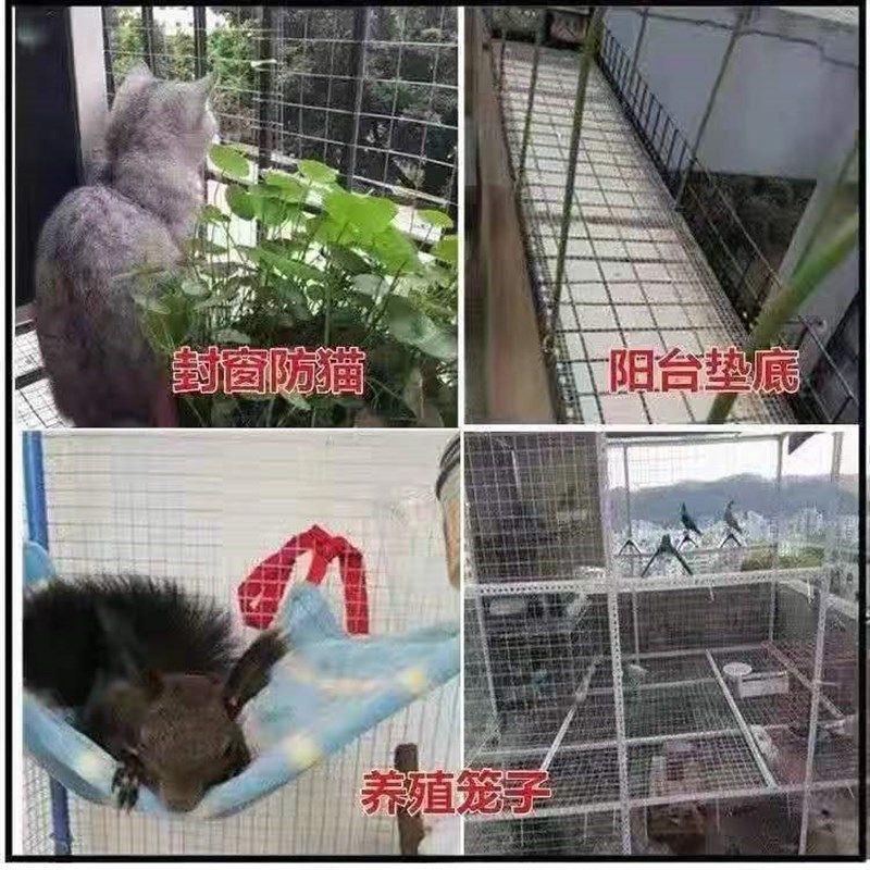 热镀锌钢丝网加粗超硬铁丝网鸡鸭鹅养殖网封窗网防猫防护铁网格网