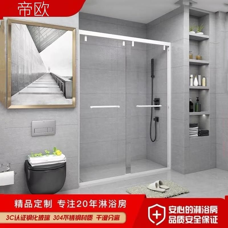 不锈钢淋浴房定制一字型浴屏干湿分离隔断卫生间移门整体浴室玻璃
