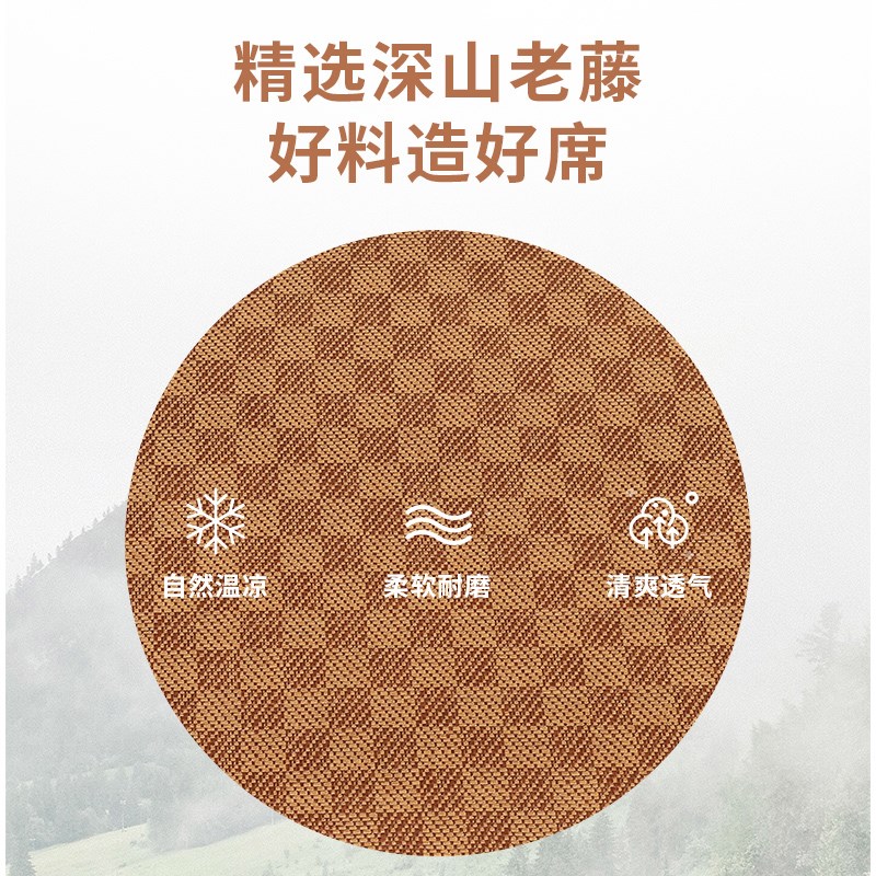 榻榻米垫子日式可折叠凉席椰棕午休打地铺睡垫定制尺寸家用地垫