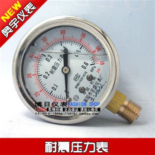 YN-60耐振压力表油压表防震抗震压力表0.6MPA液压表富阳宏盛仪表