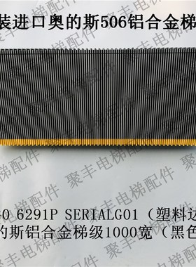 OTIS奥的斯梯级 53-G0 6291P 奥的斯506重型梯级 黑色塑料边框