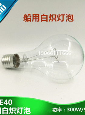船用投光灯白炽灯泡220V/110V/300W/500W螺口E40E39专用TG1/TG2-B