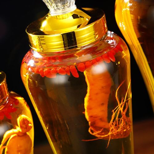 玻璃泡酒坛人参泡酒瓶带龙头家用5斤10斤密封泡酒罐杨梅酒瓶
